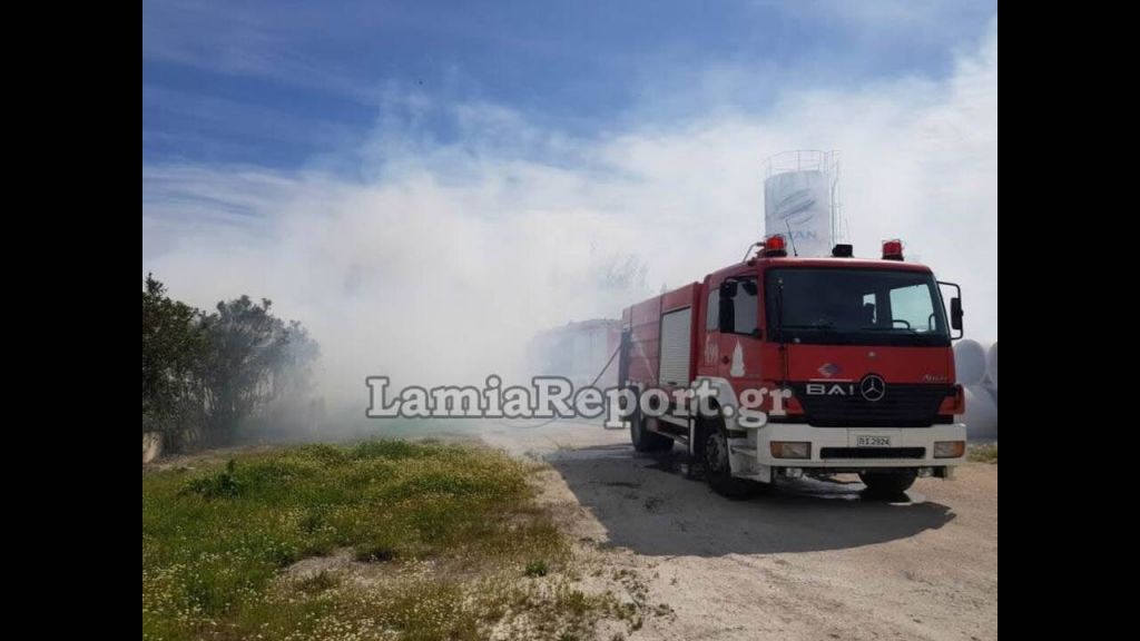 Λαμία: Φωτιά σε εργοστάσιο ξυλείας στη Νέα Μαγνησία