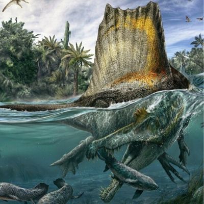 Σπινόσαυρος : Ο πρώτος δεινόσαυρος που κολυμπούσε σε ποτάμια της Βόρειας Αφρικής