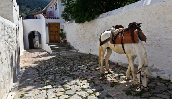 Ύδρα: Περιδιαβάζοντας στο λιμάνι και στην ενδοχώρα