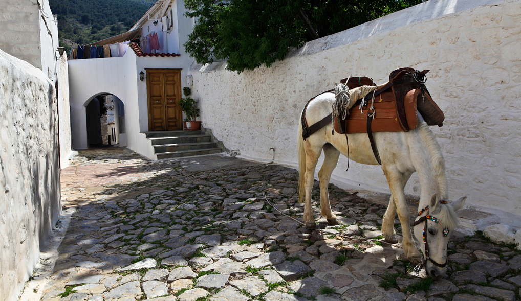 Ύδρα: Περιδιαβάζοντας στο λιμάνι και στην ενδοχώρα
