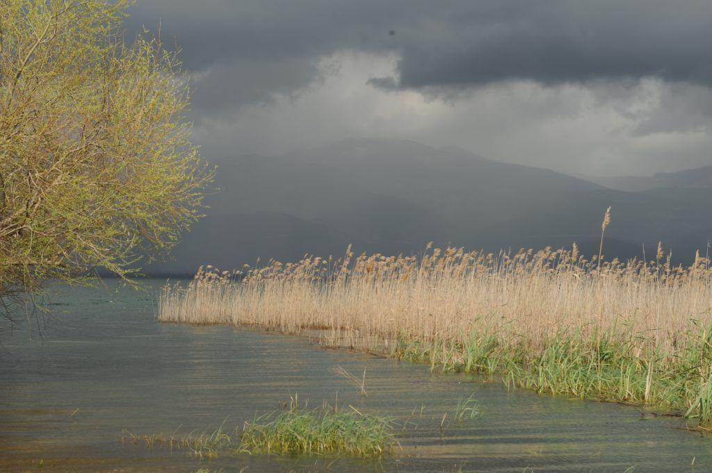 «Θύελλες» για την ανθρωπότητα εν μέσω γιορτών στον 20ό αιώνα