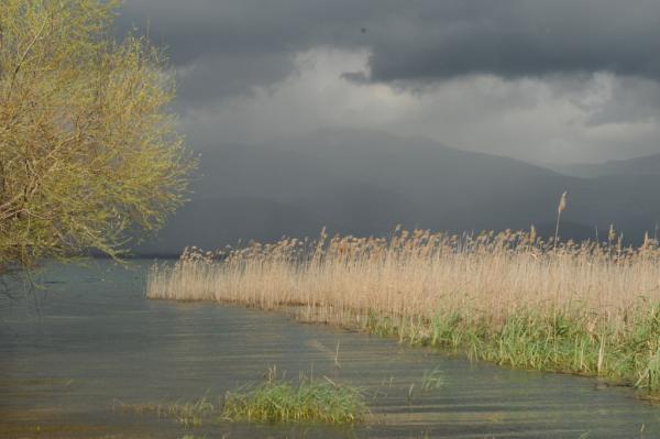 «Θύελλες» για την ανθρωπότητα εν μέσω γιορτών στον 20ό αιώνα