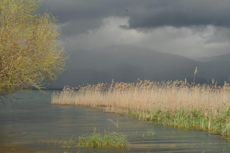 «Θύελλες» για την ανθρωπότητα εν μέσω γιορτών στον 20ό αιώνα