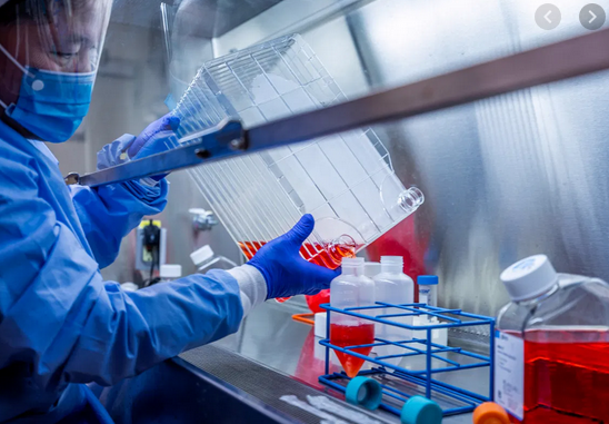 Κοροναϊός : Κινεζικό εργαστήριο παρασκεύασε εμβόλιο αποτελεσματικό σε πιθήκους