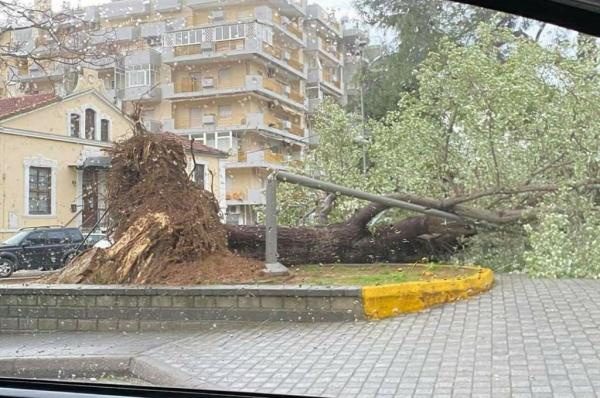 Ξάνθη : Πολλά προβλήματα από την κακοκαιρία – Ανατράπηκαν νταλίκες και φορτηγό