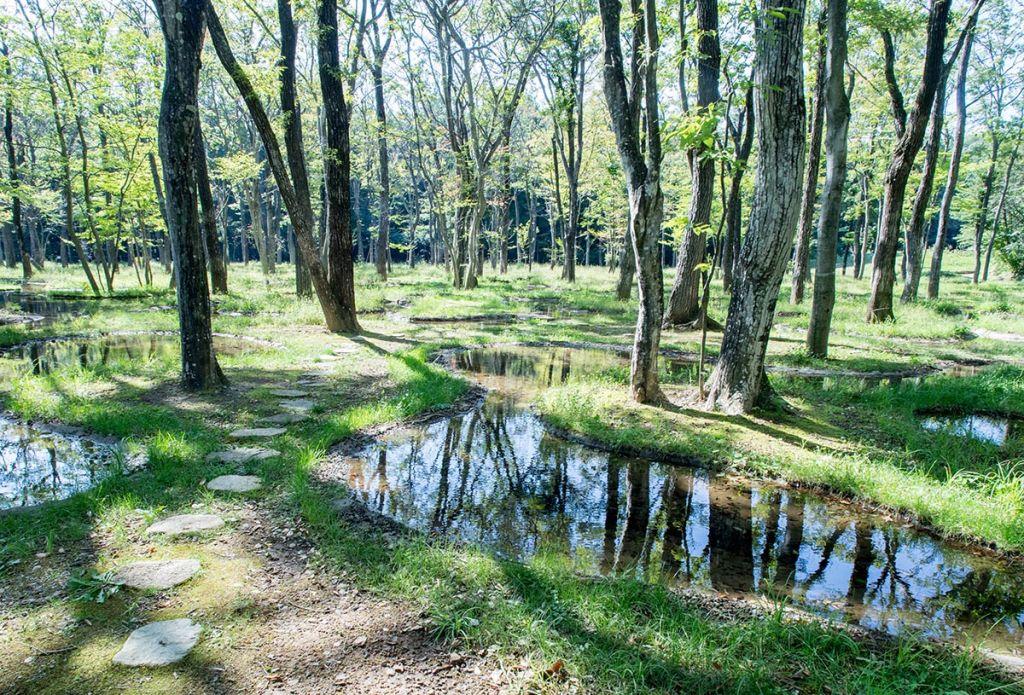 Βραβείο για το αρχιτεκτονικό «Water Garden» του Junya Ishigami