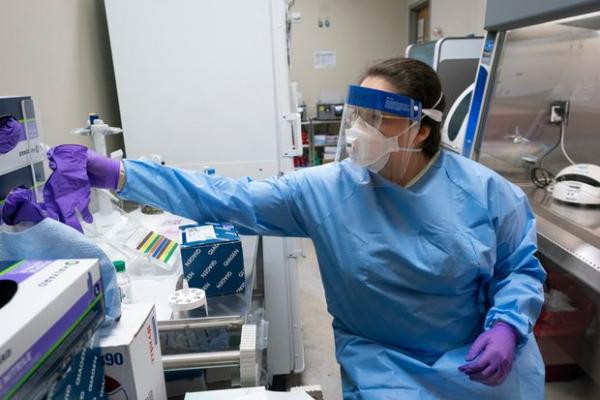 Νέα μελέτη : Ο κοροναϊός επιτίθεται στα αιμοφόρα αγγεία προκαλώντας βλάβες σε πολλά όργανα