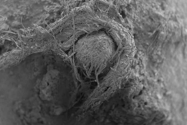 Βρέθηκε το αρχαιότερο μικροσκοπικό σκοινί ηλικίας έως 50.000 ετών