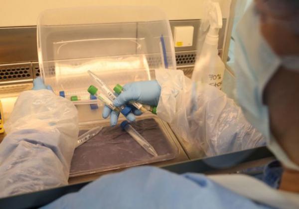 Διευθύντρια Ένωσης Φαρμακοβιομηχανιών στο MEGA: Εμβόλιο για τον κοροναϊό πιθανώς στις αρχές του 2021