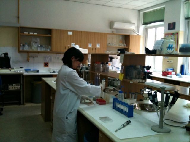 Κοροναϊός : Διπλασιάστηκαν σε μία εβδομάδα τα κρούσματα στην Ελλάδα – Ο χάρτης της επιδημίας