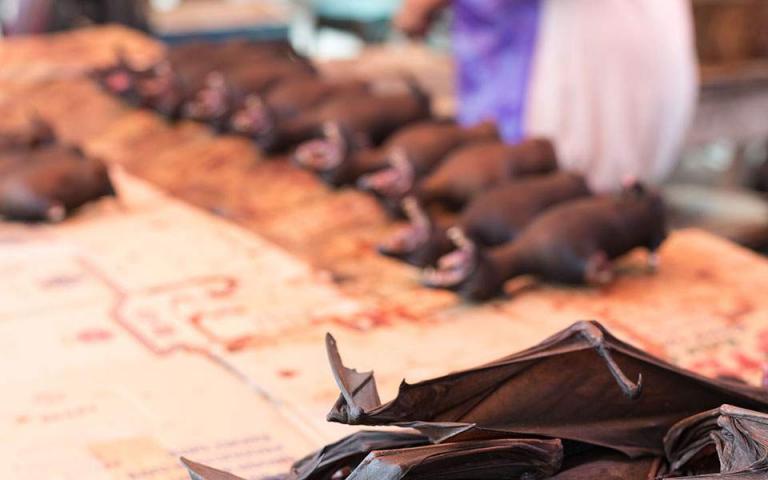 Κοροναϊός:  Η αγορά που συνεχίζει να πουλά νυχτερίδες, φίδια και σαύρες