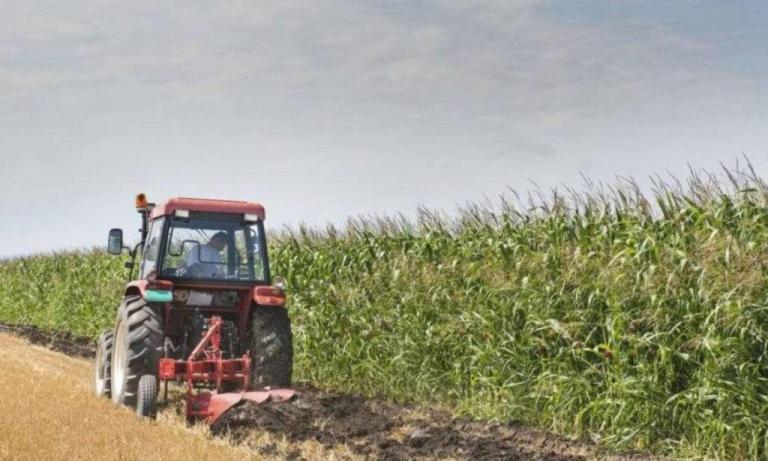 Διαδικτυακή πλατφόρμα για προβολή προϊόντων και εύρεση προσωπικού αποκτούν οι αγρότες