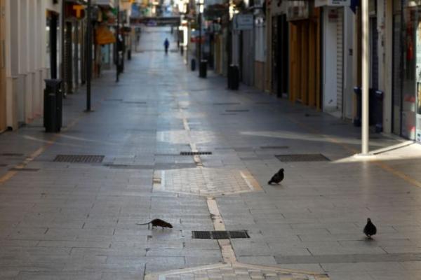 Αρουραίοι μεταδίδουν ηπατίτιδα στον άνθρωπο – Ο τρόπος μετάδοσης παραμένει άγνωστος