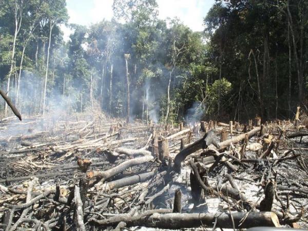 Βραζιλία : Εν μέσω πανδημίας ο Μπολσονάρου «καταπατά» τον Αμαζόνιο
