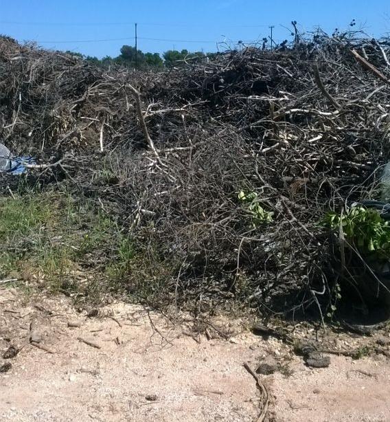 Μάτι: Νέο οικόπεδο – βόμβα απειλεί με πυρκαγιά