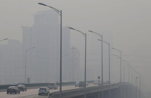 Αστικά κέντρα : Τα πλέον αποδοτικά φυτά στη μάχη κατά της ατμοσφαιρικής ρύπανσης