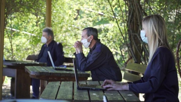 Πτυχιακές εξετάσεις σε ειδυλλιακό τοπίο, κάτω από τις… ελιές