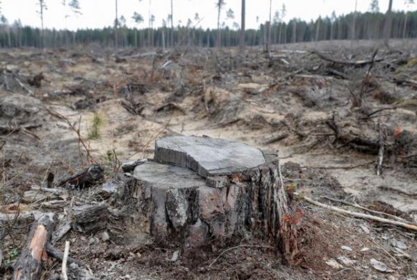 Καμπανάκι από επιστήμονες: Η καταστροφή της φύσης θα φέρει νέες πανδημίες