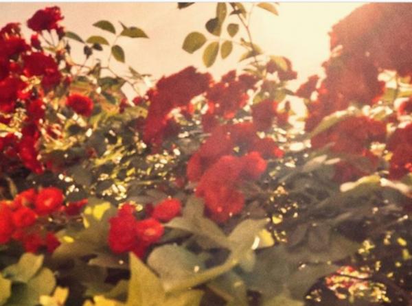 Αστρολογικές προβλέψεις για την Τετάρτη 20 Μαΐου