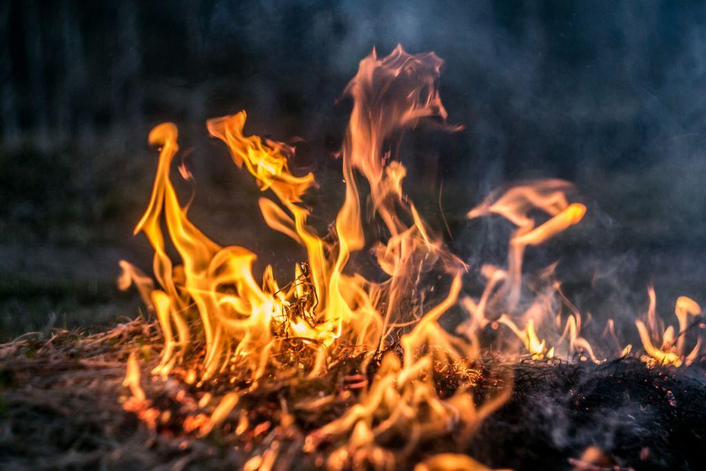 Έντονη ανησυχία για τις πυρκαγιές «ζόμπι» – Τι είναι