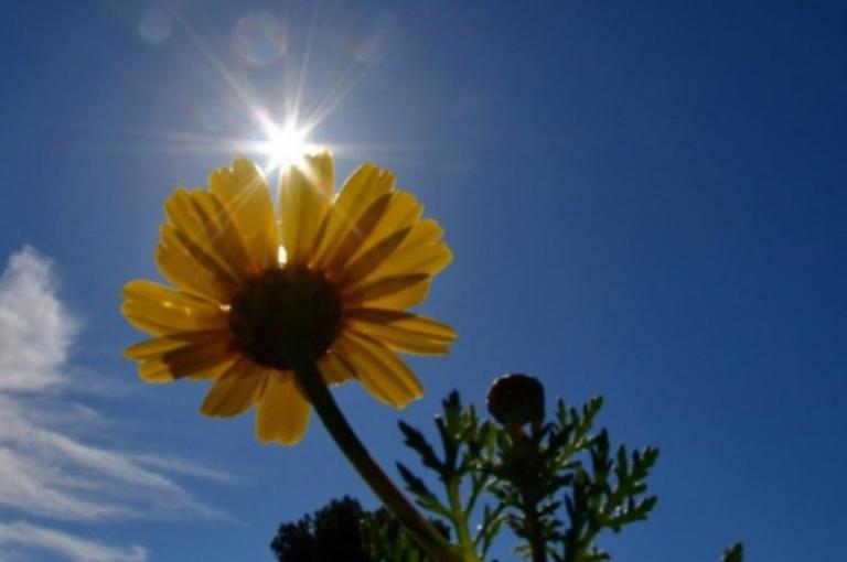 Καιρός : Λιακάδα και άνοδος της θερμοκρασίας την Κυριακή