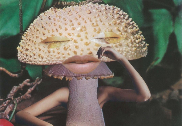 Online η έκθεση «Μανιτάρια: Η τέχνη, το ντιζάιν και το μέλλον των μυκήτων»