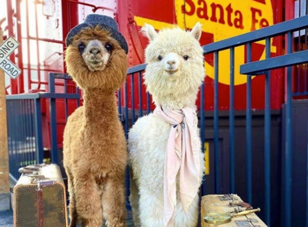 Αστρολογικές προβλέψεις για την Τρίτη 26 Μαΐου