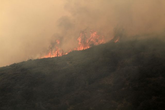 Δύσκολη νύχτα στο Άγιο Όρος: Μάχη για την κατάσβεση της πυρκαγιάς