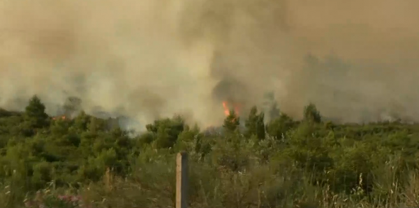 Αντιπεριφερειάρχης Φθιώτιδας στο MEGA: Δύο τα μέτωπα της φωτιάς στο Μαρτίνο