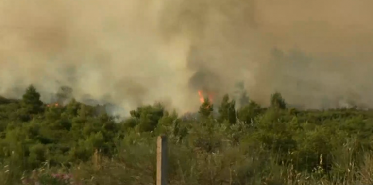 Αντιπεριφερειάρχης Φθιώτιδας στο MEGA: Δύο τα μέτωπα της φωτιάς στο Μαρτίνο