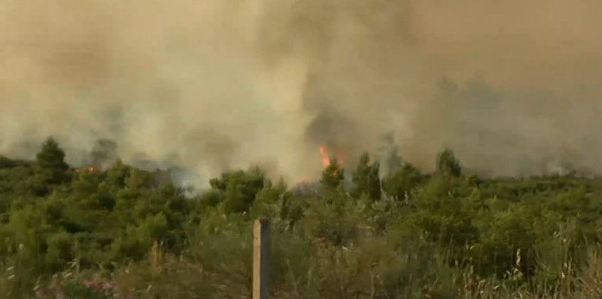 Αντιπεριφερειάρχης Φθιώτιδας στο MEGA: Δύο τα μέτωπα της φωτιάς στο Μαρτίνο