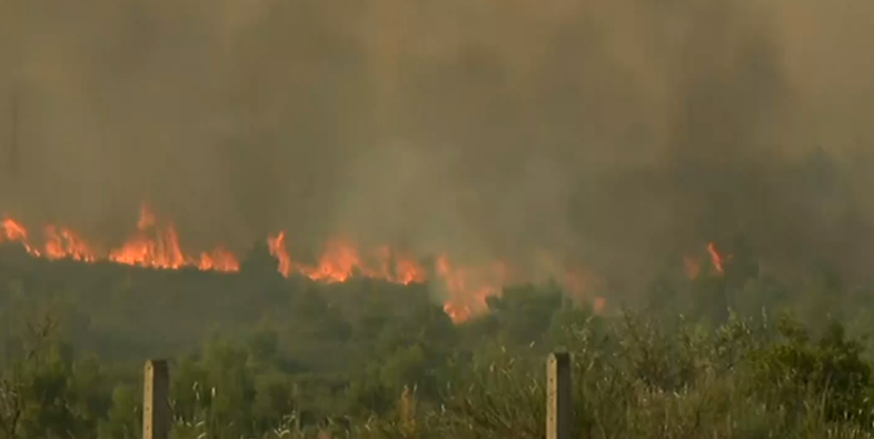 Μεγάλη μάχη με τις φλόγες στο Μαρτίνο – Κλειστή παραμένει η Εθνική Οδός