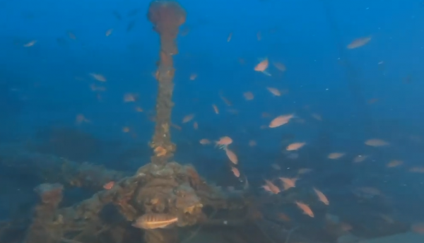 Δύτες ανακάλυψαν ναυάγιο από τον 16ο αιώνα