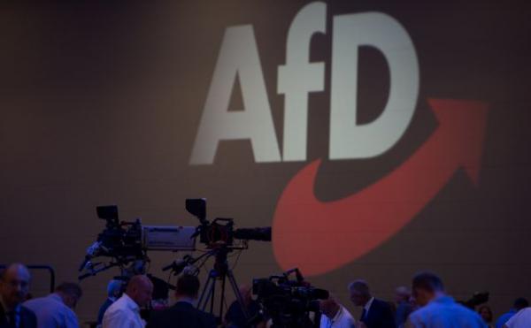 Γερμανία: Το Συνταγματικό Δικαστήριο δικαίωσε το ακροδεξιό AfD εναντίον του Ζεεχόφερ