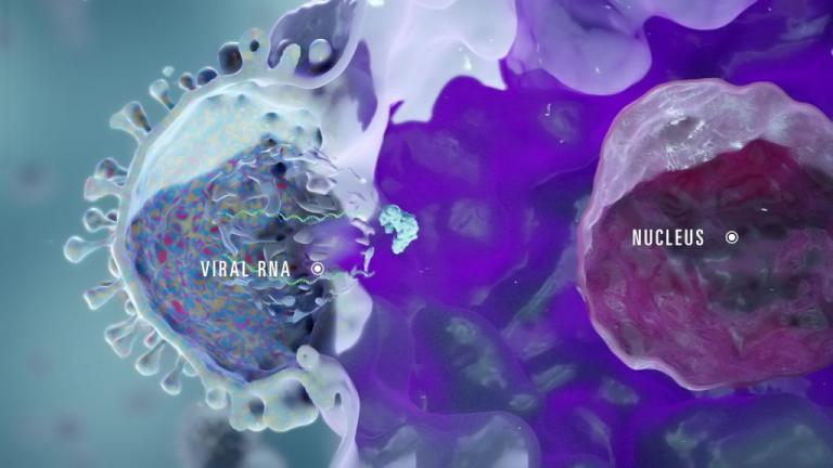 Ελπίδες στους ασθενείς με β-θαλασσαιμία από επιστημονικές μελέτες