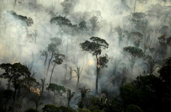 Αμαζόνιος : Το εκρηκτικό κοκτέιλ αποψίλωσης, πυρκαγιών και κοροναϊού απειλεί τη ζούγκλα