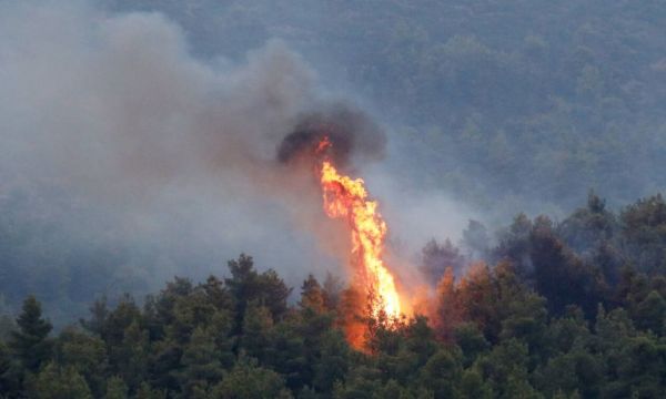 Φωτιά σε δασική έκταση στα Πηγάδια Αχαΐας