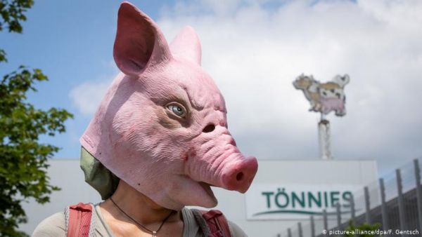 Γερμανία: Άθλιες συνθήκες στη βιομηχανία κρέατος