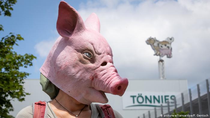 Γερμανία: Άθλιες συνθήκες στη βιομηχανία κρέατος