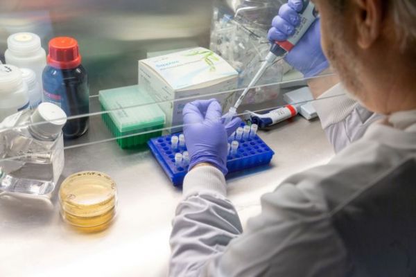 Κοροναϊός: Ξεκίνησαν δοκιμές του εμβολίου του πανεπιστημίου της Οξφόρδης στην Βραζιλία