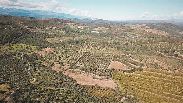 Κτηματολόγιο : Σε κίνδυνο βρίσκονται 200 χιλιάδες ιδιοκτησίες