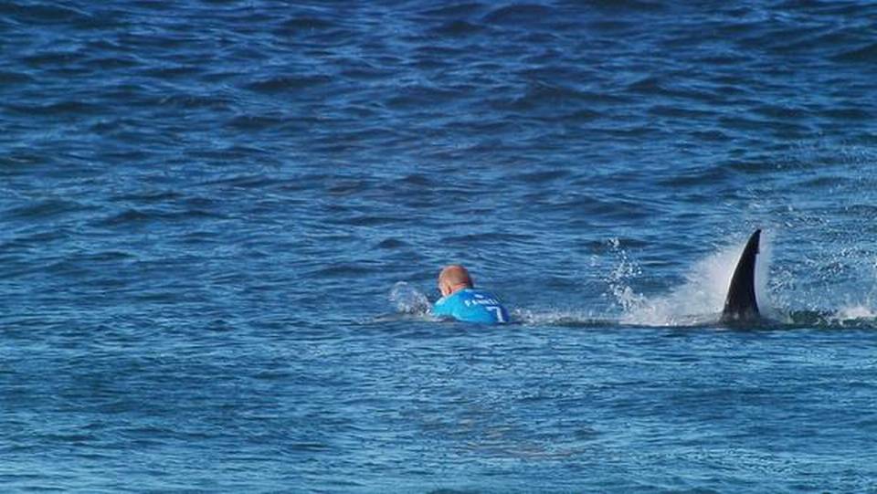 Σοκ στην Αυστραλία: Σέρφερ σκοτώθηκε σε επίθεση από καρχαρία