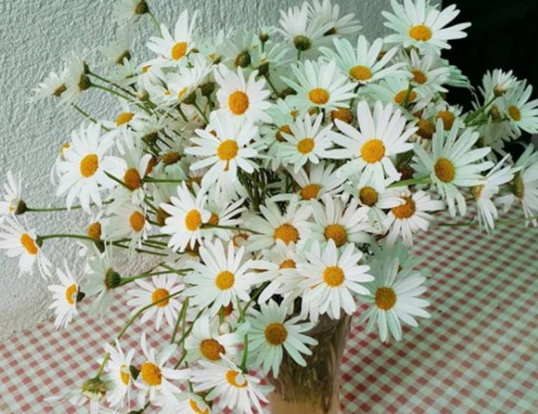 Αστρολογικές προβλέψεις για την Τρίτη 2 Ιουνίου