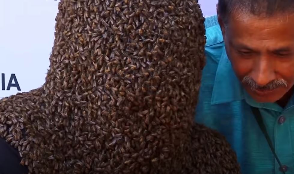 Καλύφθηκε με 60.000 μέλισσες και έσπασε ρεκόρ