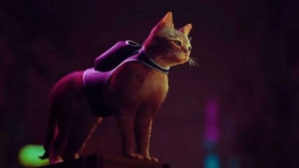 «Stray»: Βιντεοπαιχνίδι με ήρωα μια αδέσποτη γάτα