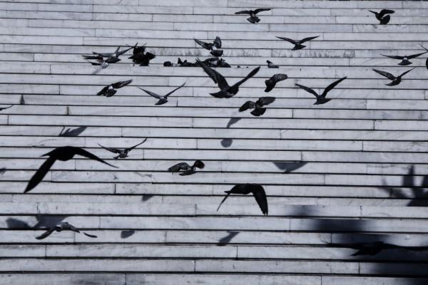 ΕΛΣΤΑΤ : Χώρα φτώχειας η Ελλάδα – Σε 9.382 ευρώ το μέσο ατομικό εισόδημα