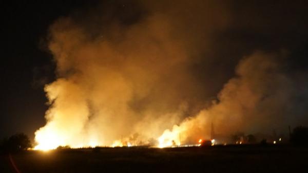 Πυρκαγιά σε ξερά χόρτα πίσω από το ΤΕΙ Λάρισας (εικόνες)