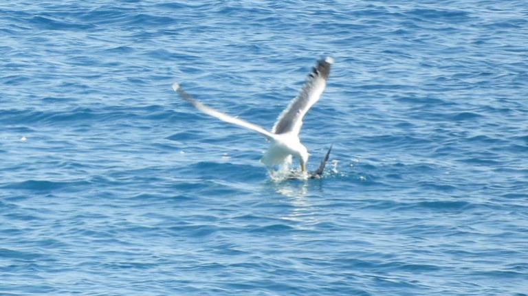 Εντυπωσιακό «κλικ» ανάμεσα… στη ζωή και τον θάνατο