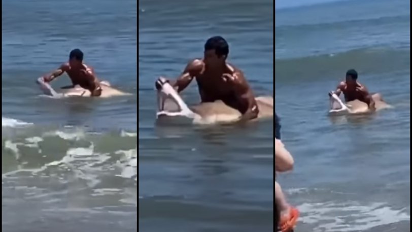 Ατρόμητος κολυμβητής πιάνει καρχαρία με τα χέρια και του ανοίγει το στόμα