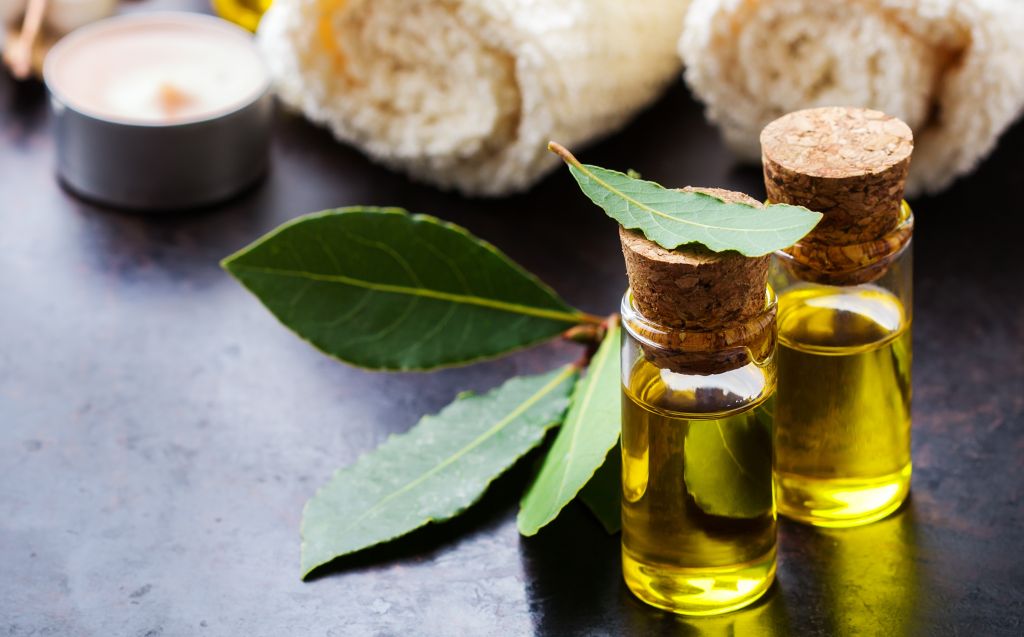 Δαφνέλαιο: Η φυσική λύση για πλούσια και λαμπερά μαλλιά